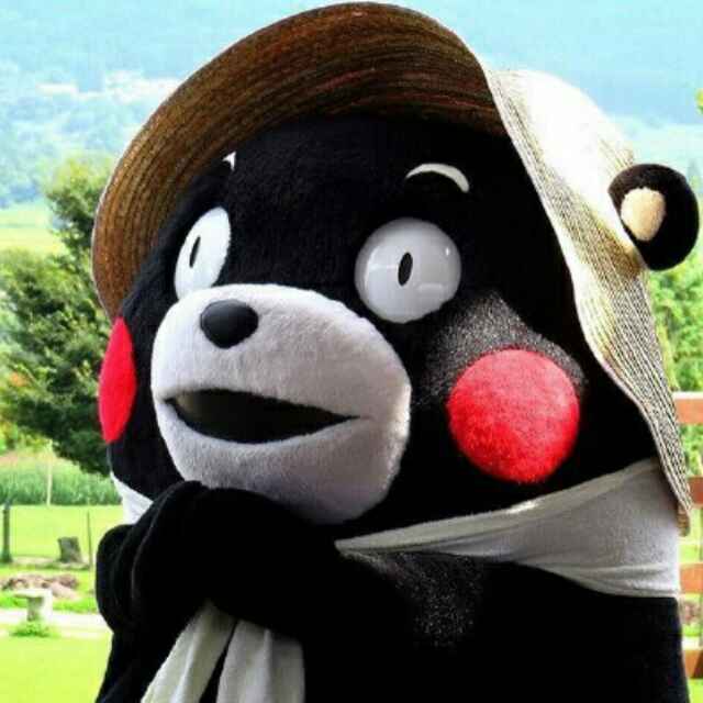 熊本邪會首席逗逼發言人 头像