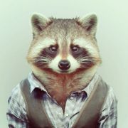 我是传奇lg 头像