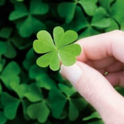 寄给萤火虫 头像