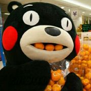 森林大熊呆 头像