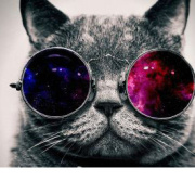 MTorDPS何易 头像