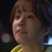 CD是只小狮子 头像