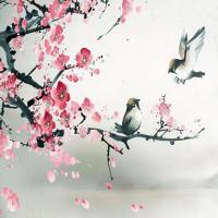 楚门的world233 头像