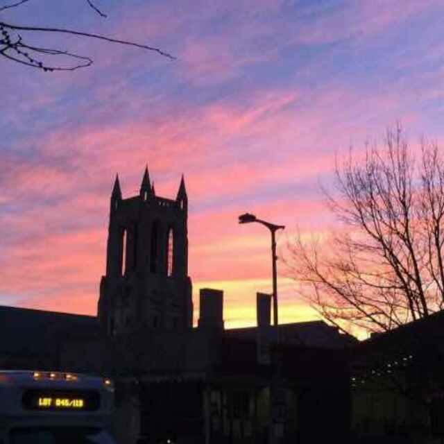 🍁亦心尔 头像