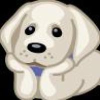 呵呵呵呵呵呵呵 头像