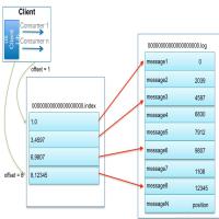 professional dufei 头像