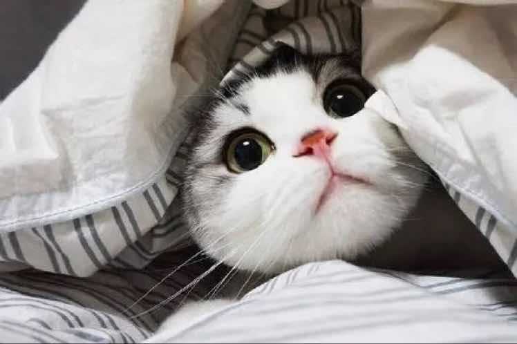 林静是个女孩子 头像