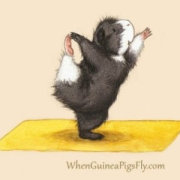 羊驼桑蓁蓁 头像