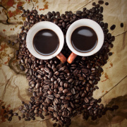 王宁_NNNNNelson 头像