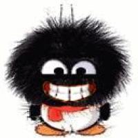 派了个大星 头像