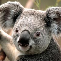 快乐画图XUAN 头像