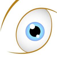 爱吃兔子的胡萝卜 头像