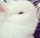 珍~ 头像