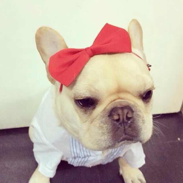 苏西西susie 头像