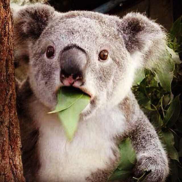 自由的蜗牛001 头像