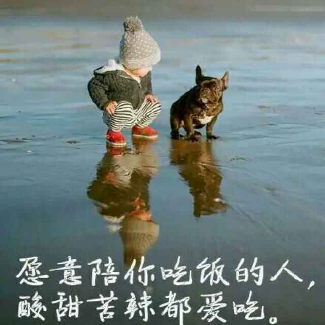 不睡觉的闹铃_lz 头像