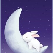 明月清风与谁共 头像