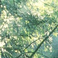 思念居住的街道 头像