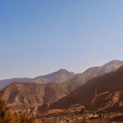 Larry Luo (小罗) 头像