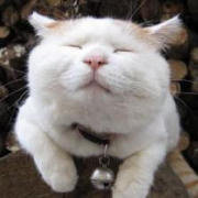 不是胖次是蛋糕 头像