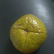 苍白的等待无悔着谁的执着 头像