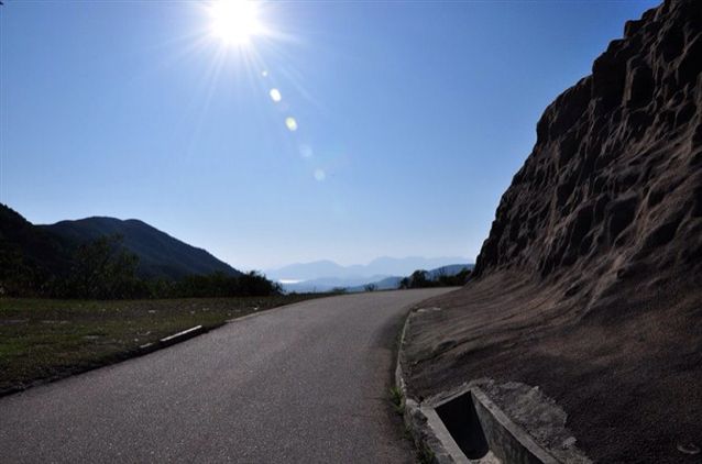 刘文～金融清道夫 头像