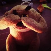 超超超级动物 头像