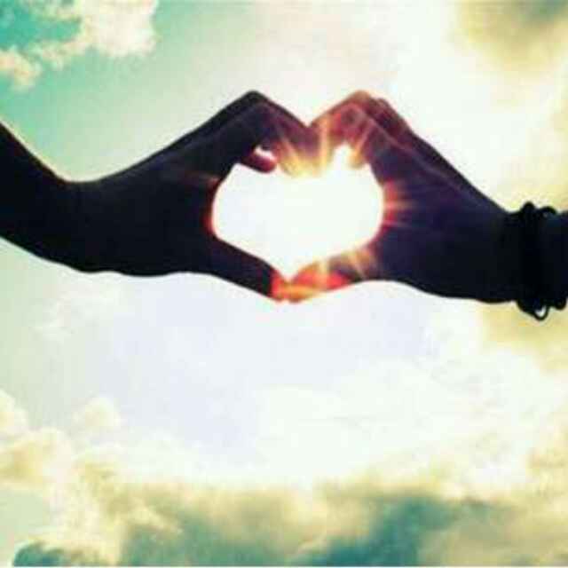 肥喵不会飞 头像