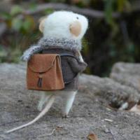 xiaomiwujiecao 头像