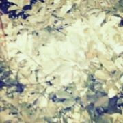 你和我的时间cxy2 头像