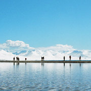 夏日么么茶CQ 头像