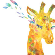 请不要下南国雨 头像