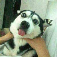 夜色深沉迷离眼 头像