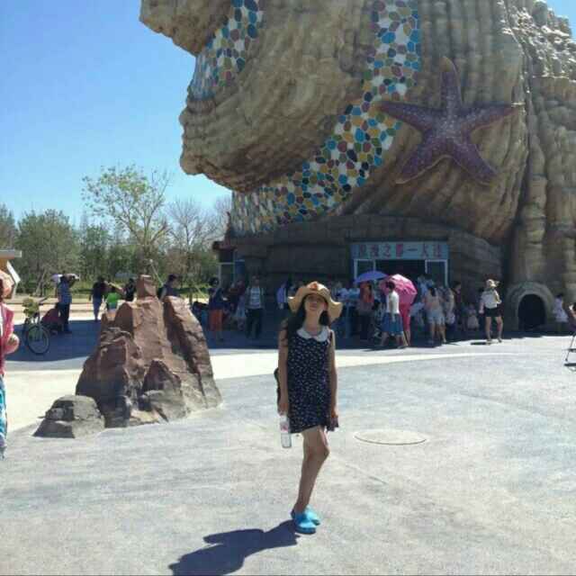 执着的人会在阳光下相遇 头像