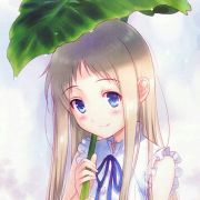 枫红知秋浓 头像