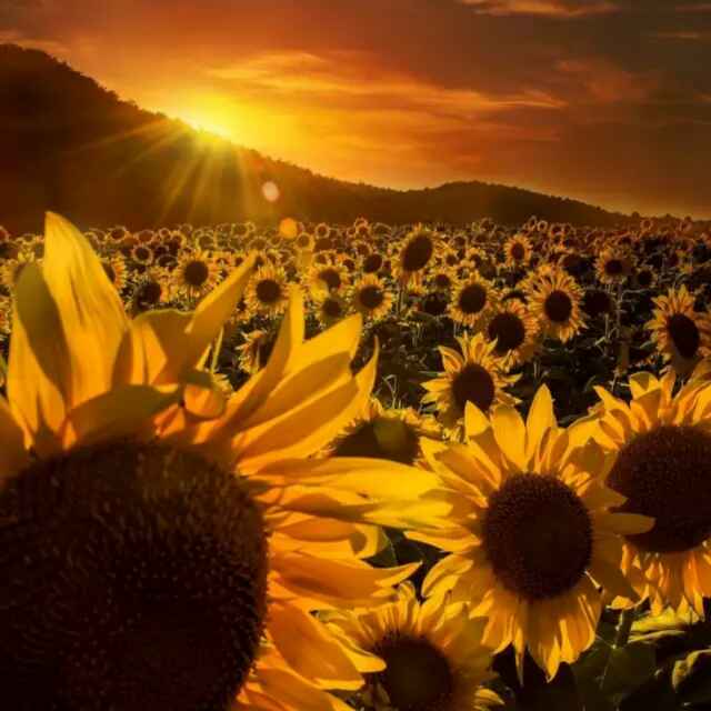 张英珠—中信贷款(13400547530) 头像