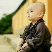 小木匠念经要用心 头像