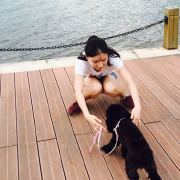 烦烦烦德小石 头像