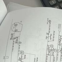 空心菜allen 头像