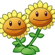 crossmyheart-1 头像