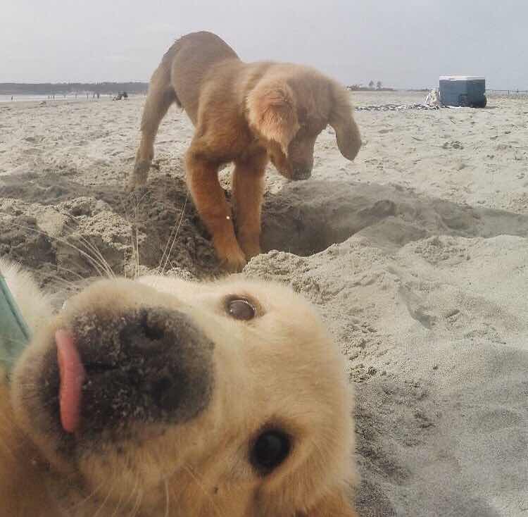 xixi | 铅笔道 头像