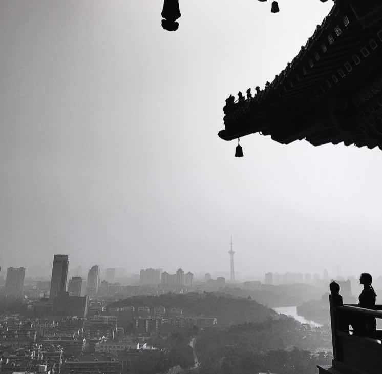 车厘敏子🍒 头像