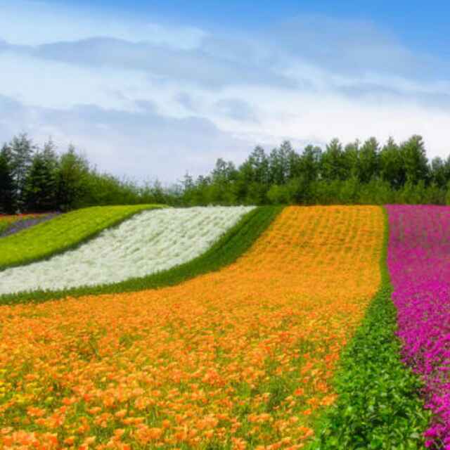 蓝色天空！ 头像