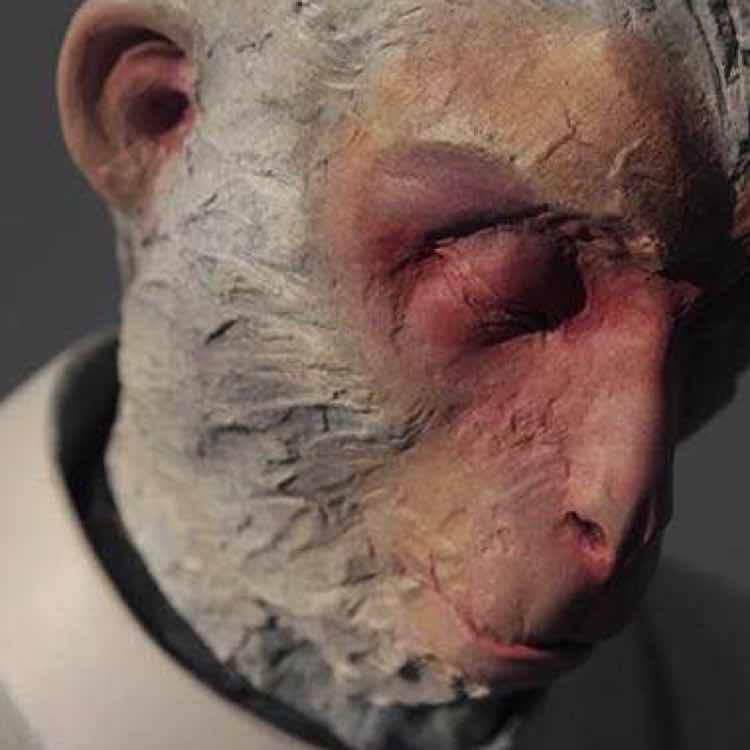 三余不是徐 头像