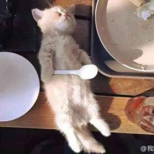 赵赫_Halo🍭 头像