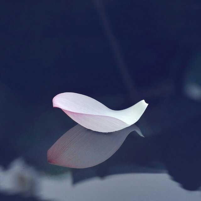 Crystal1111111 头像