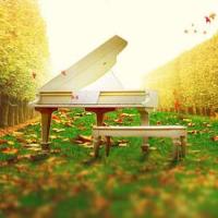 你姐的安卓 头像