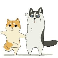 Francescasing 头像