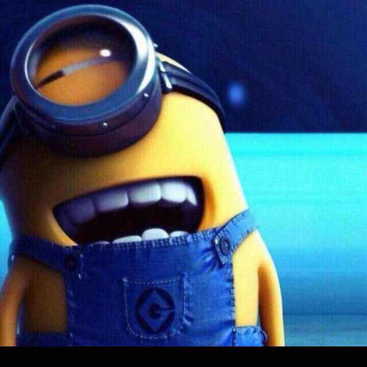 初永嘉alex 头像