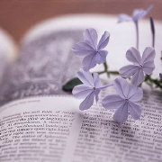 龙门科教网络文明传播 头像